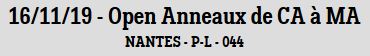 1116 titre Anneaux