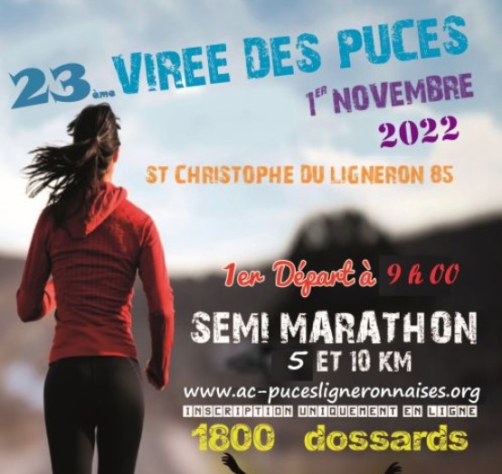 1101 Vire puces