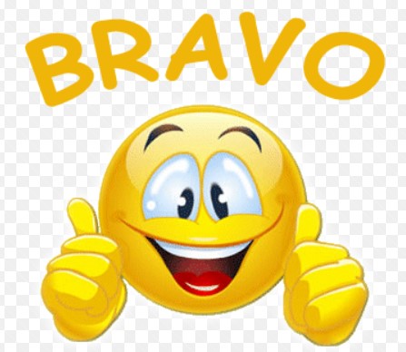 1203 Bravo