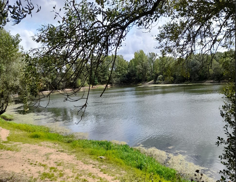 0803 etang
