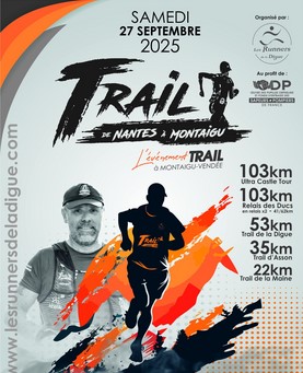 0927 Digue affiche