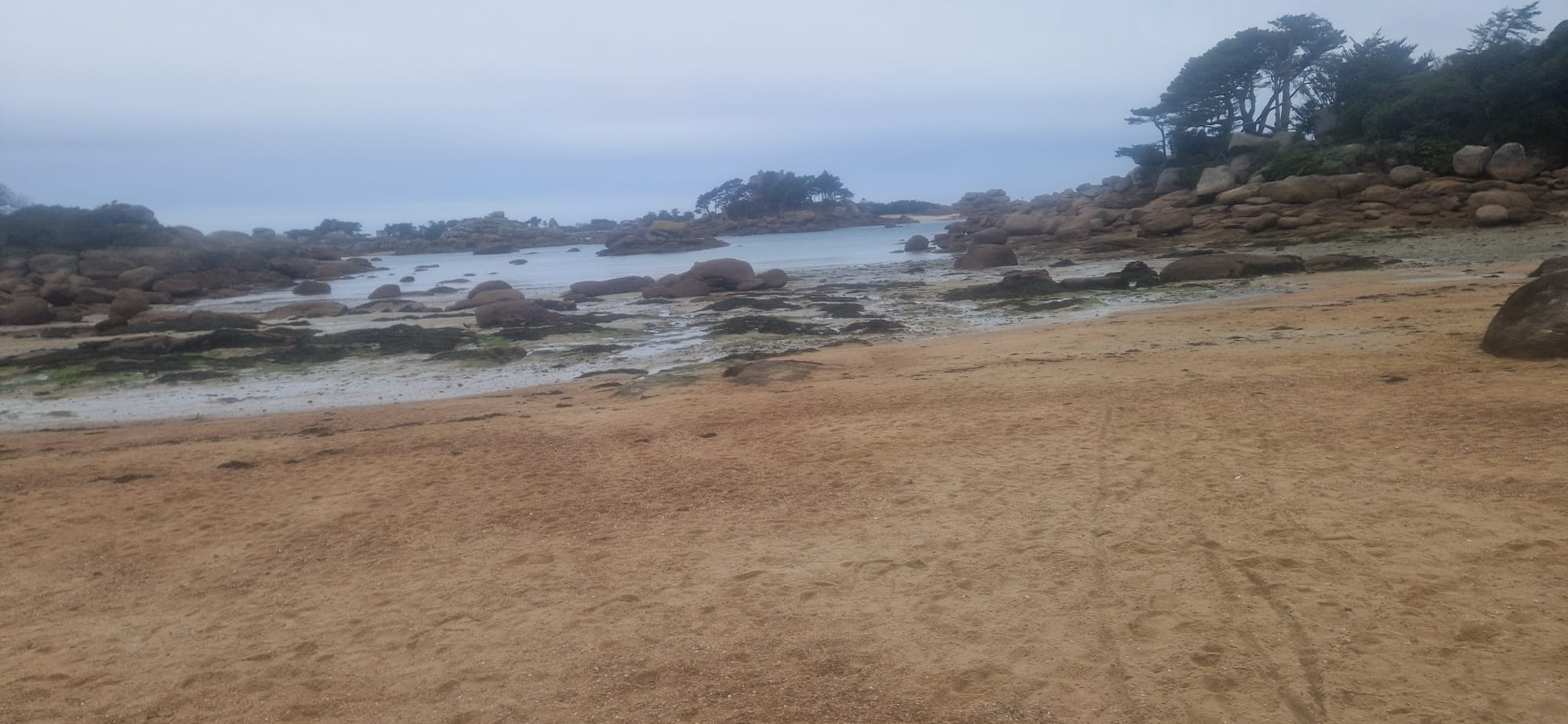 IMG 20250224 WA0004