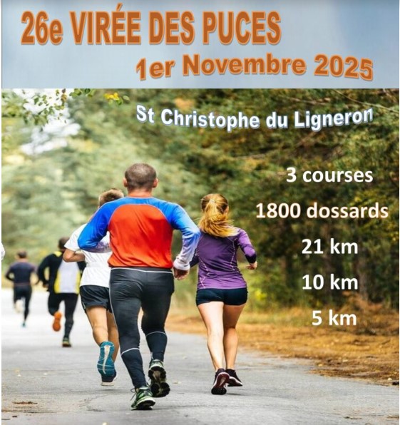 Virée des puces AFFICHE