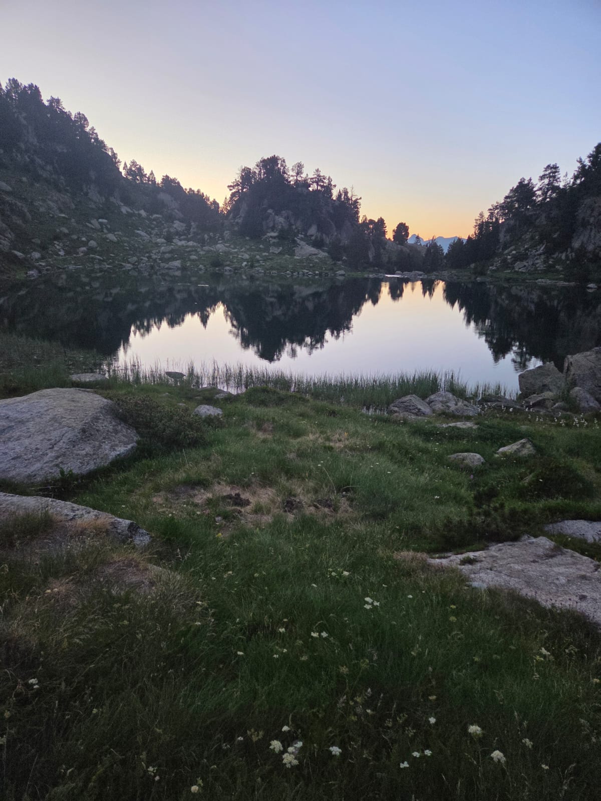 IMG 20260706 WA0002