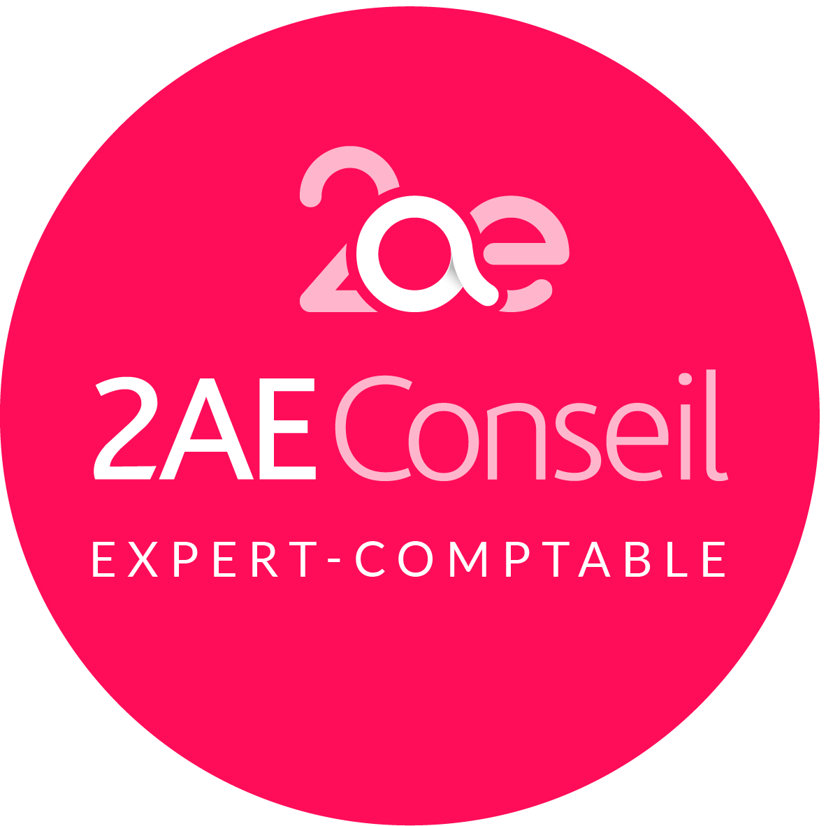 300   2AE CONSEIL
