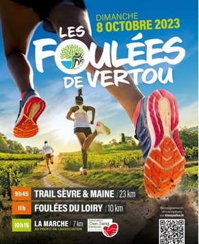 1008 Vertavienne affiche