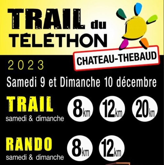 1210 Telethon Chate Affiche1