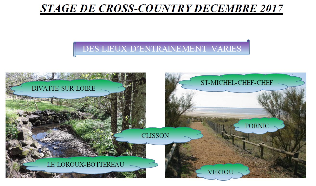 2017 12 stage cross