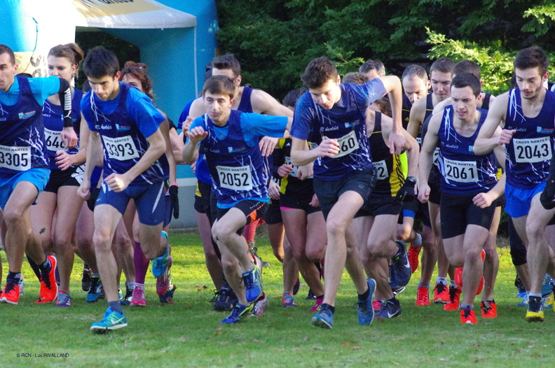 calendrier cross
