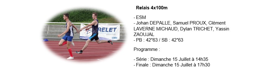 relais ESM com site