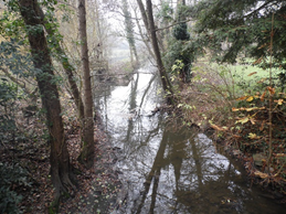 RassemblementHorsStade20180301a