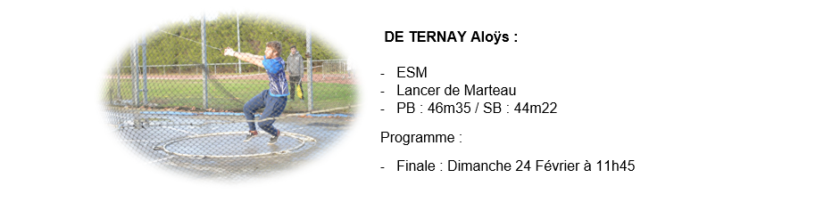 aloys com site