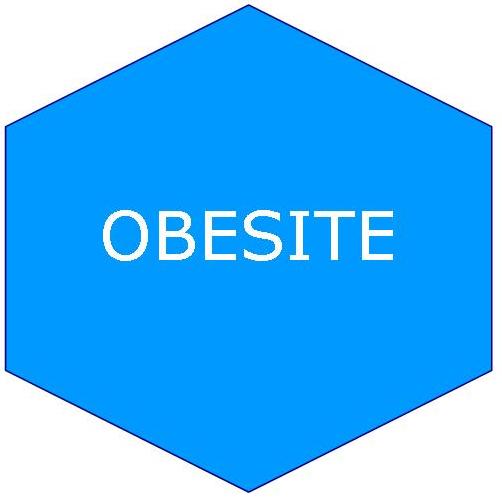 logo2 obesite