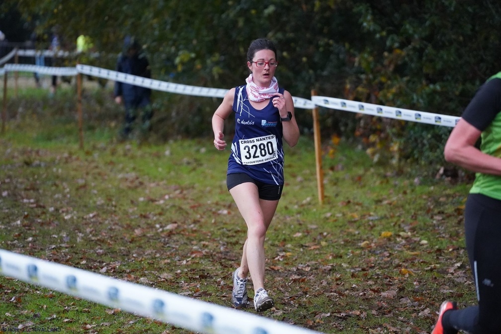 ob 4622f6 20181126003017 3e335cdf la