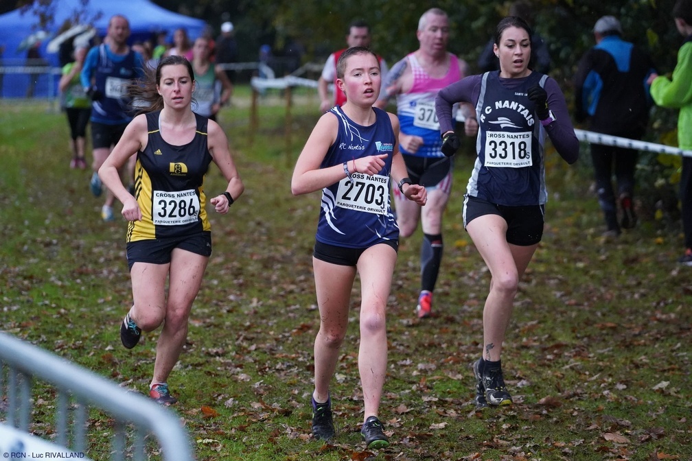 ob 7a4571 20181126002923 e0071c1d la