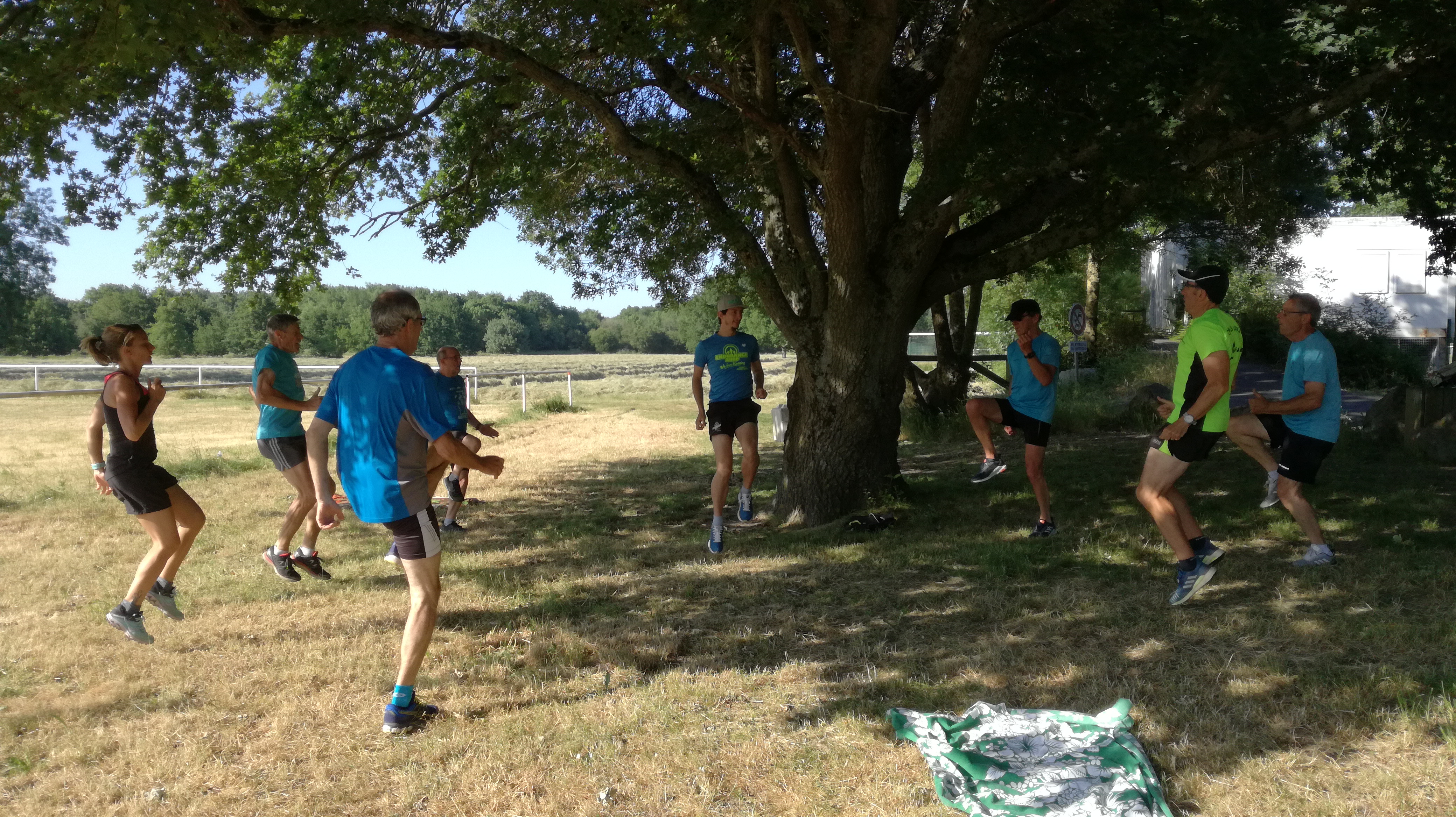 54517294 335649097081155 6917418612621836288 n