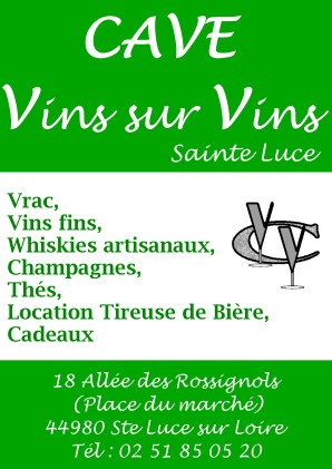 100VinsSurVinsLogo