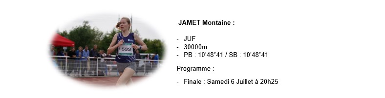 montaine com site